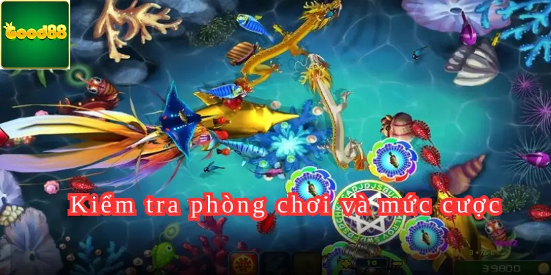 Kiểm tra phòng chơi và mức cược