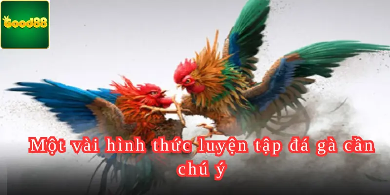 Một vài hình thức luyện tập đá gà cần chú ý