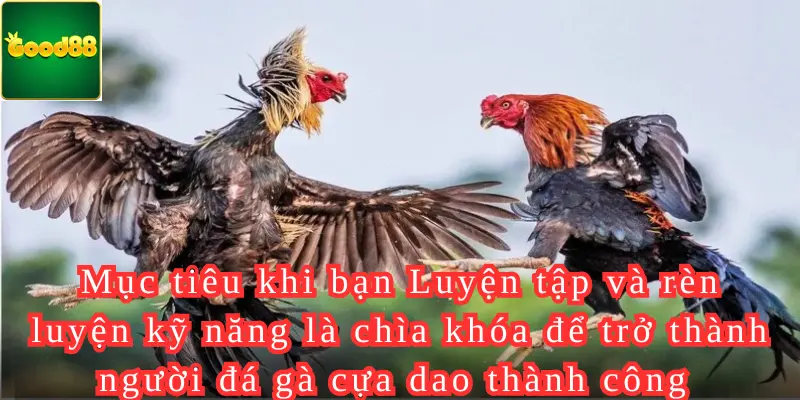 Luyện tập và rèn luyện kỹ năng là chìa khóa để trở thành người đá gà cựa dao thành công 