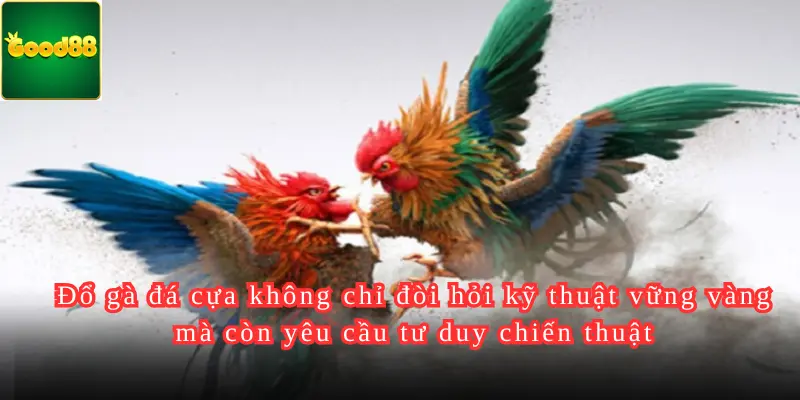 Đổ gà đá cựa không chỉ đòi hỏi kỹ thuật vững vàng mà còn yêu cầu tư duy chiến thuật và khả năng thích ứng nhanh với tình huống trận đấu