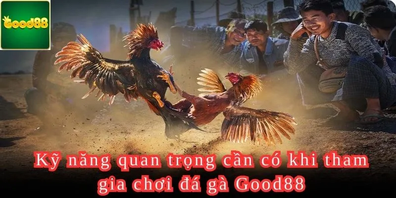 Những kỹ năng cần nắm khi chơi Đá gà Good88