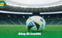 Bóng đá Good88