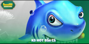 ks hot ban ca anh dai dien