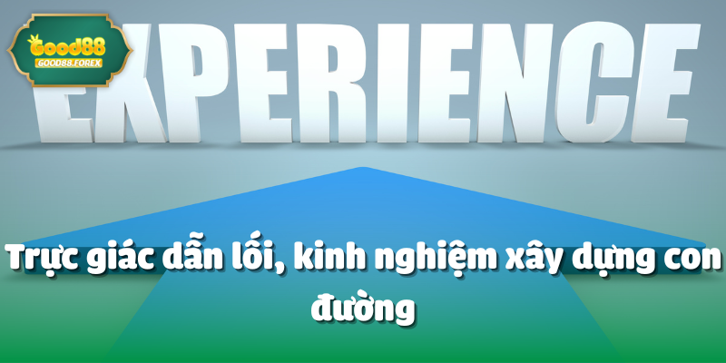Trực giác dẫn lối, kinh nghiệm xây dựng con đường