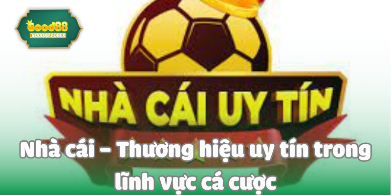 Nhà cái – Thương hiệu uy tín trong lĩnh vực cá cược