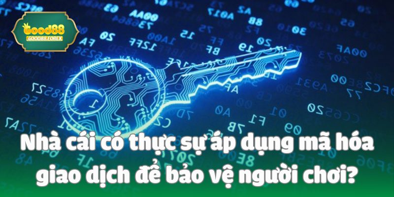 Nhà cái có thực sự áp dụng mã hóa giao dịch để bảo vệ người chơi?