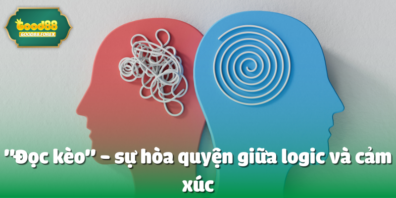 "Đọc kèo" - sự hòa quyện giữa logic và cảm xúc