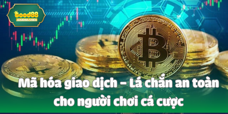 Mã hóa giao dịch – Lá chắn an toàn cho người chơi cá cược