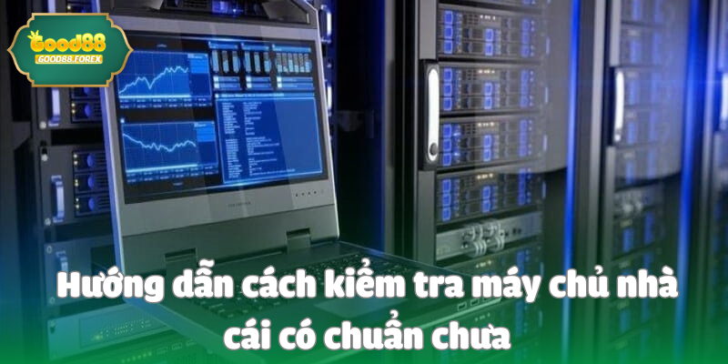 Hướng dẫn cách kiểm tra máy chủ nhà cái có chuẩn chưa