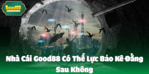 Nhà Cái Good88 Có Thế Lực Bảo Kê Đằng Sau Không