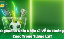 CEO good88 Nhìn Nhận Gì Về Xu Hướng Cá Cược Trong Tương Lai