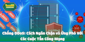 Chống ddos