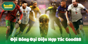 Đội bóng đại diện hợp tác