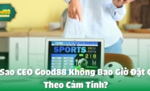 Tại Sao CEO good88 Không Bao Giờ Đặt Cược Theo Cảm Tính?