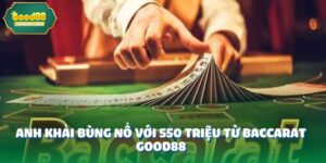 anh dai dien 1