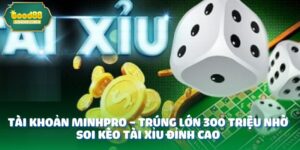 anh dai dien 2