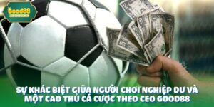 anh dai dien