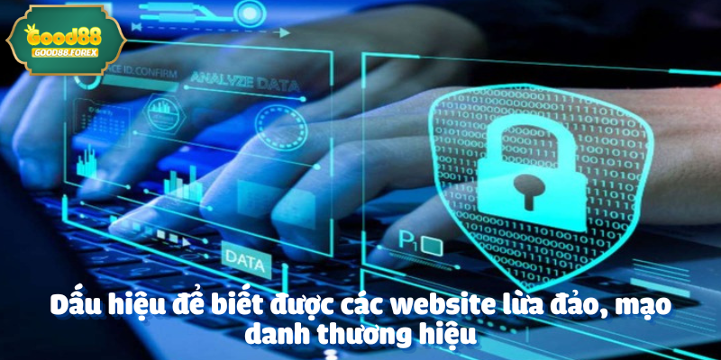 Dấu hiệu để biết được các website lừa đảo, mạo danh thương hiệu
