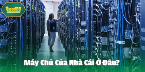 Máy chủ của nhà cái ở đâu?
