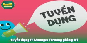 tuyển dụng IT Manager