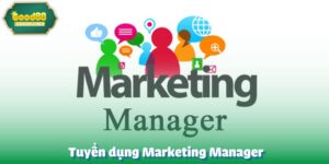 Tuyển dụng Marketing Manager