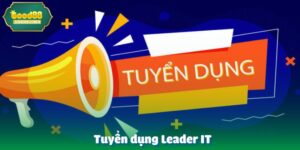 Tuyển dụng Leader IT