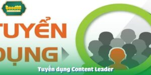 Tuyển dụng Content Leader