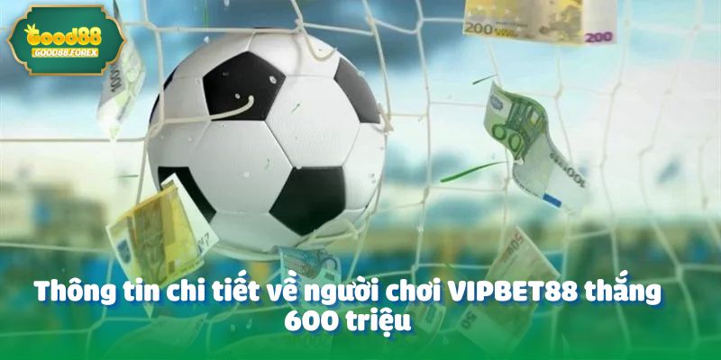 Nickname VIPBet88 - Thắng Gọn 600 Triệu Từ Kèo Châu Á 2 Thông tin chi tiết về người chơi VIPBET88 thắng 600 triệu